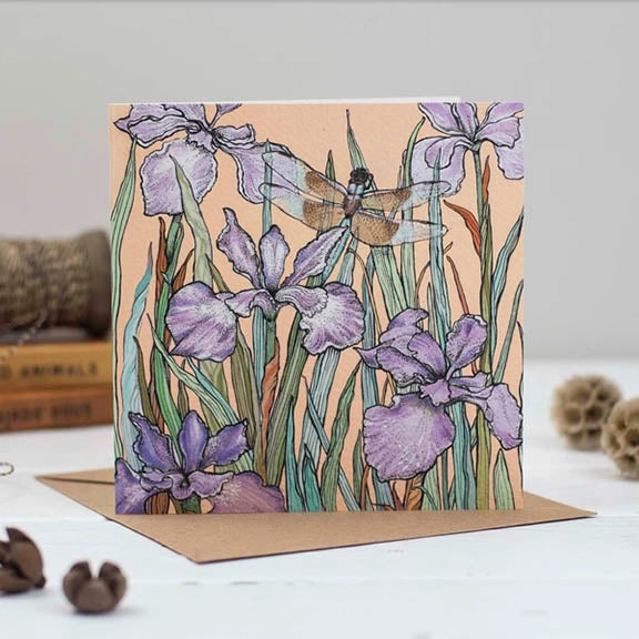 Fay's Studio Greeting Cards