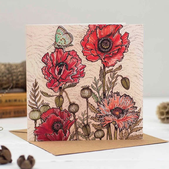 Fay's Studio Greeting Cards